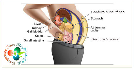 gordura-na-barriga2