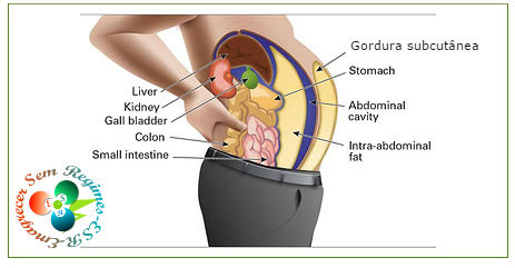 perder-gordura-na-barriga